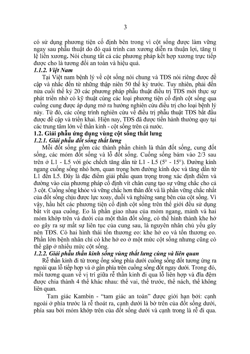 Luận án Nghiên cứu đặc điểm lâm sàng, chẩn đoán hình ảnh và kết quả phẫu thuật bệnh trượt đốt sống thắt lưng đơn tầng do khe hở eo trang 5