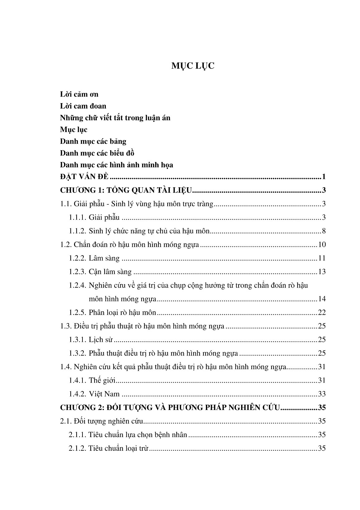 Luận án Nghiên cứu chẩn đoán và điều trị phẫu thuật rò hậu môn hình móng ngựa trang 5