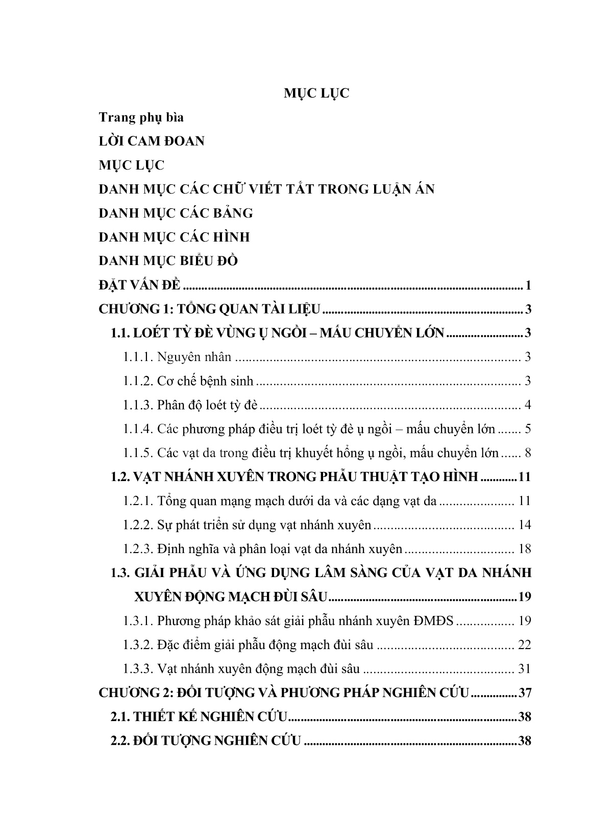 Luận án Nghiên cứu giải phẫu và ứng dụng vạt nhánh xuyên động mạch đùi sâu điều trị loét ụ ngồi và mấu chuyển lớn trang 3