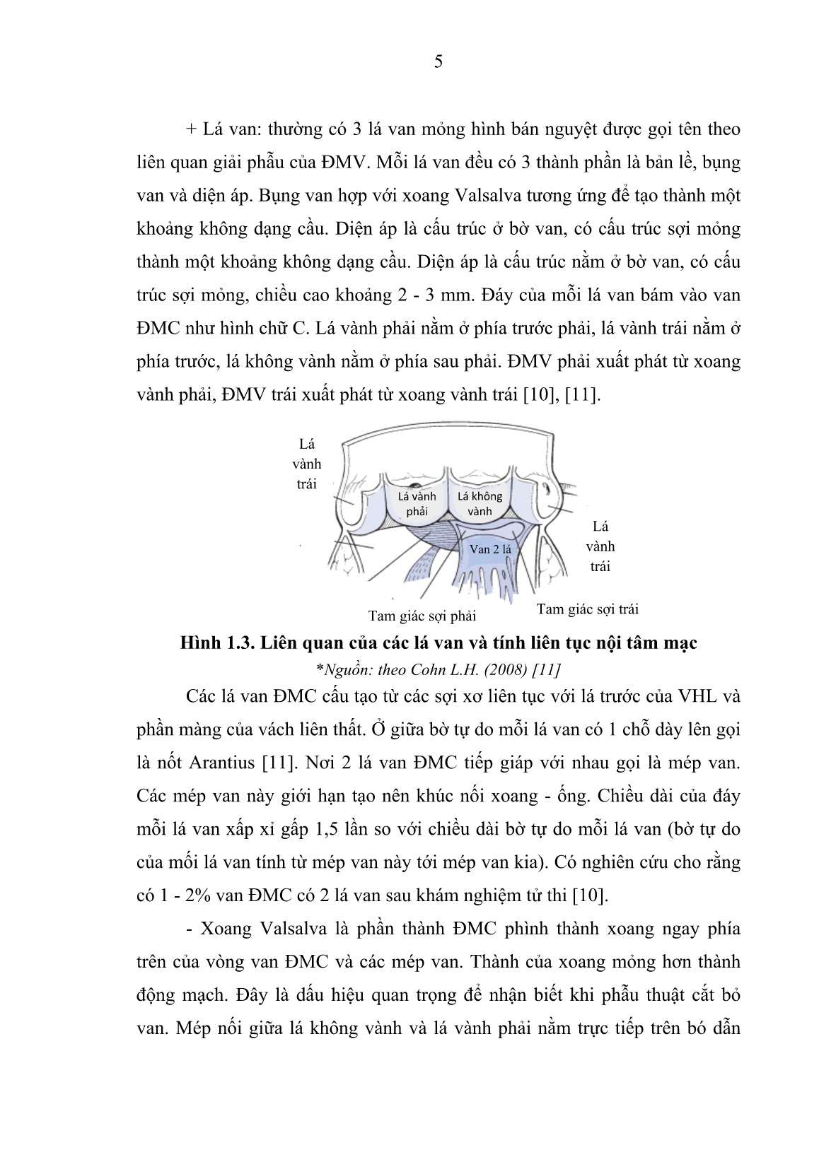 Luận án Nghiên cứu đặc điểm lâm sàng, cận lâm sàng và kết quả phẫu thuật thay van nhân tạo điều trị hẹp van động mạch chủ trang 3