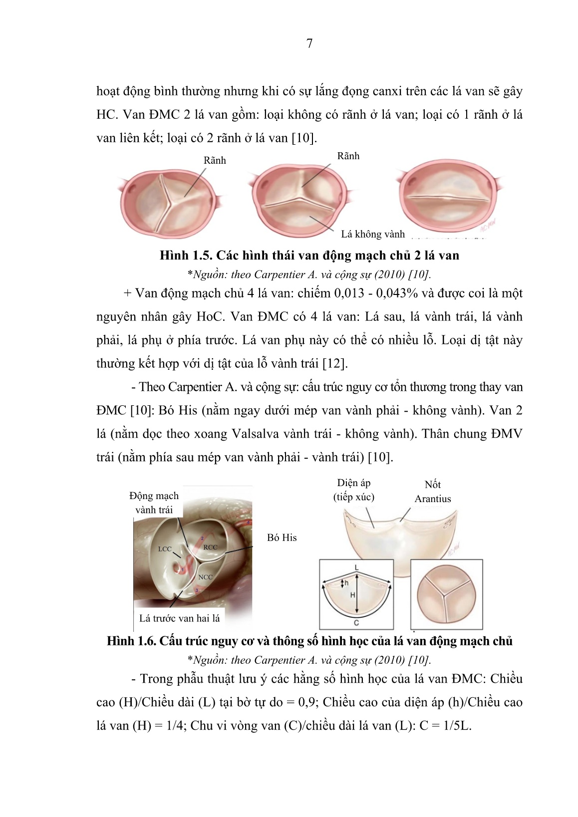 Luận án Nghiên cứu đặc điểm lâm sàng, cận lâm sàng và kết quả phẫu thuật thay van nhân tạo điều trị hẹp van động mạch chủ trang 5