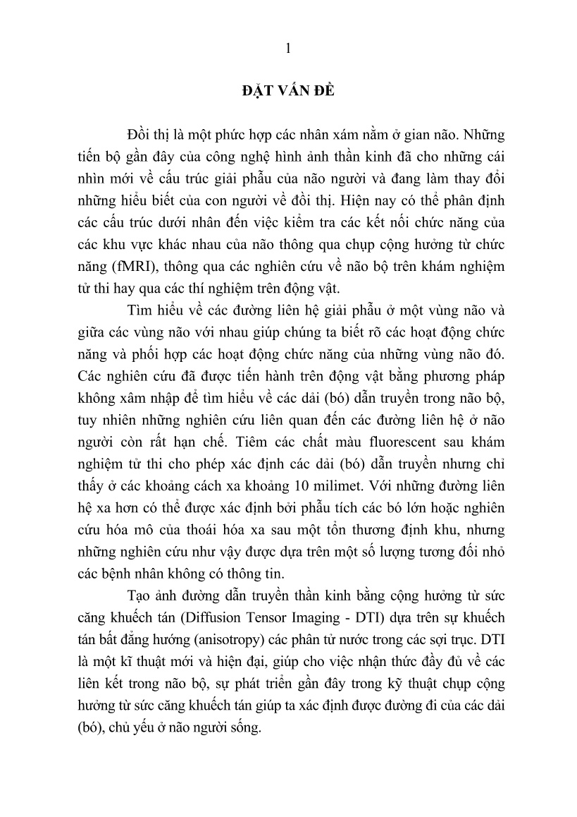 Tóm tắt Luận án Nghiên cứu đặc điểm hình thái đồi thị và đường liên hệ đồi thị - Vỏ não trên hình ảnh cộng hưởng từ sọ não ở người Việt Nam trưởng thành trang 3