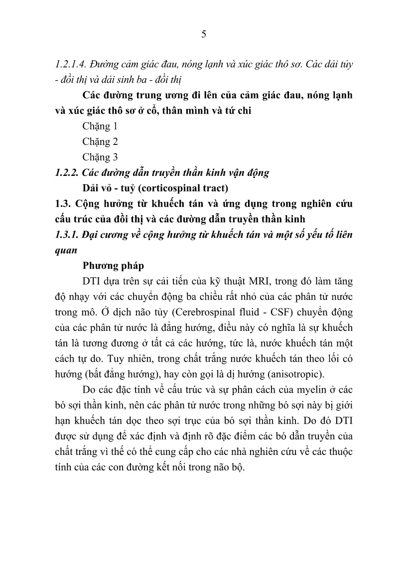 Tóm tắt Luận án Nghiên cứu đặc điểm hình thái đồi thị và đường liên hệ đồi thị - Vỏ não trên hình ảnh cộng hưởng từ sọ não ở người Việt Nam trưởng thành trang 7