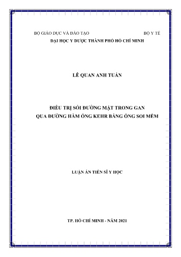 Luận án Điều trị sỏi đường mật trong gan qua đường hầm ống kehr bằng ống soi mềm