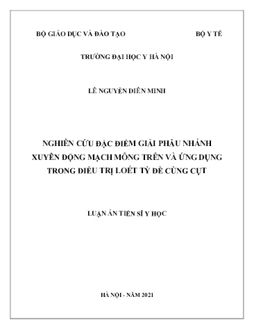 Luận án Nghiên cứu đặc điểm giải phẫu nhánh xuyên động mạch mông trên và ứng dụng trong điều trị loét tỳ đè cùng cụt