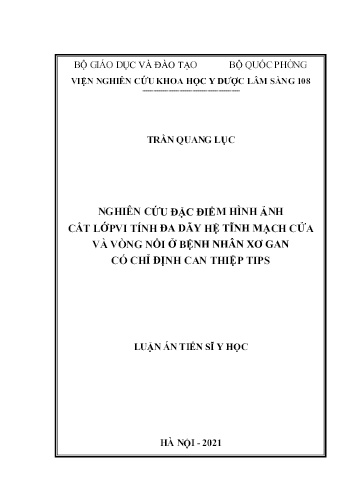 Luận án Nghiên cứu đặc điểm hình ảnh cắt lớp vi tính đa dãy hệ tĩnh mạch cửa và vòng nối ở bệnh nhân xơ gan có chỉ định can thiệp tips