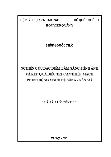 Luận án Nghiên cứu đặc điểm lâm sàng, hình ảnh và kết quả điều trị can thiệp mạch phình động mạch hệ sống - nền vỡ