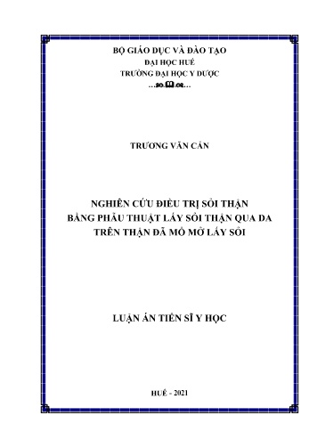 Luận án Nghiên cứu điều trị sỏi thận bằng phẫu thuật lấy sỏi thận qua da trên thận đã mổ mở lấy sỏi