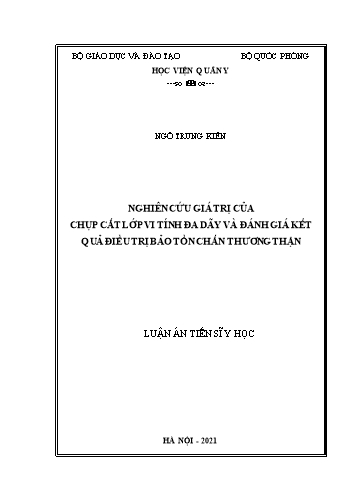 Luận án Nghiên cứu giá trị của chụp cắt lớp vi tính đa dãy và đánh giá kết quả điều trị bảo tồn chấn thương thận